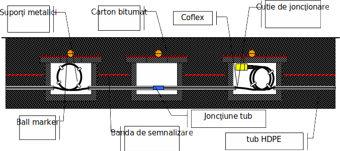 Shape21